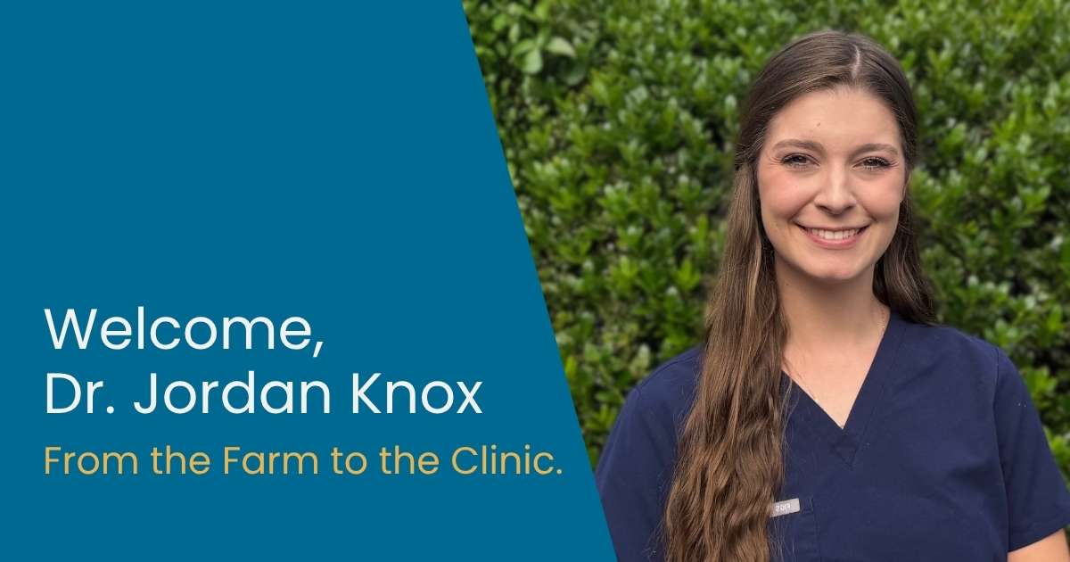 Welcome Dr. Jordan Knox to Conyers Animal Hospital!