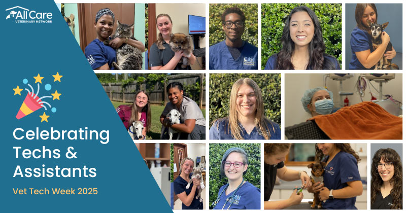 Celebrating Veterinary Technicians