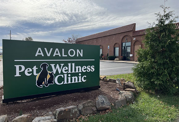 Avalon Pet Wellness Clinic