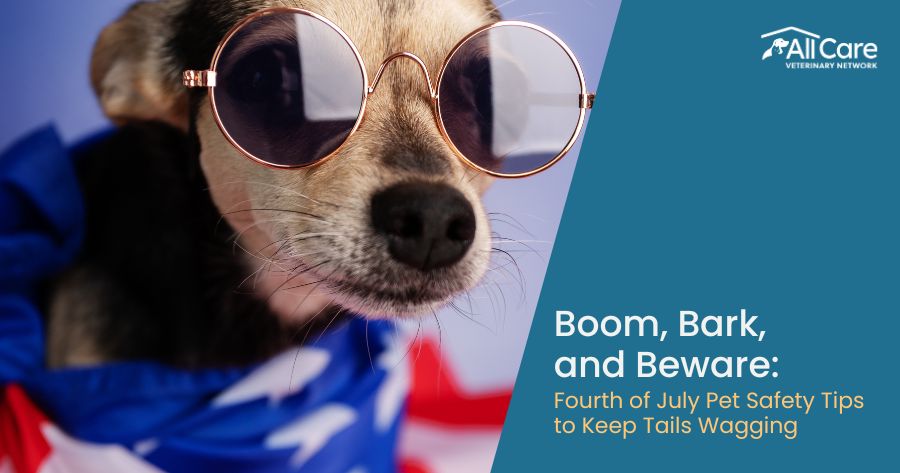 Boom, Bark, and Beware