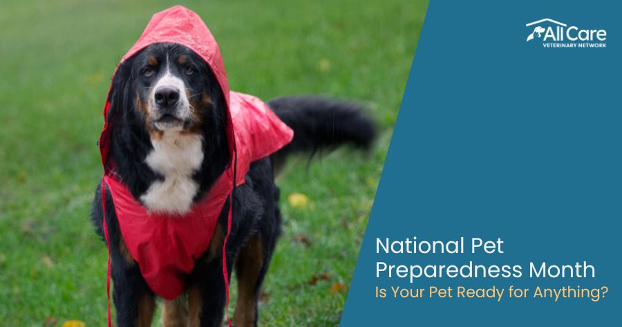 National Pet Preparedness Month