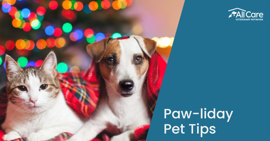 Have a Holly, Jolly, Paw-liday: Safety Tips for Pets 