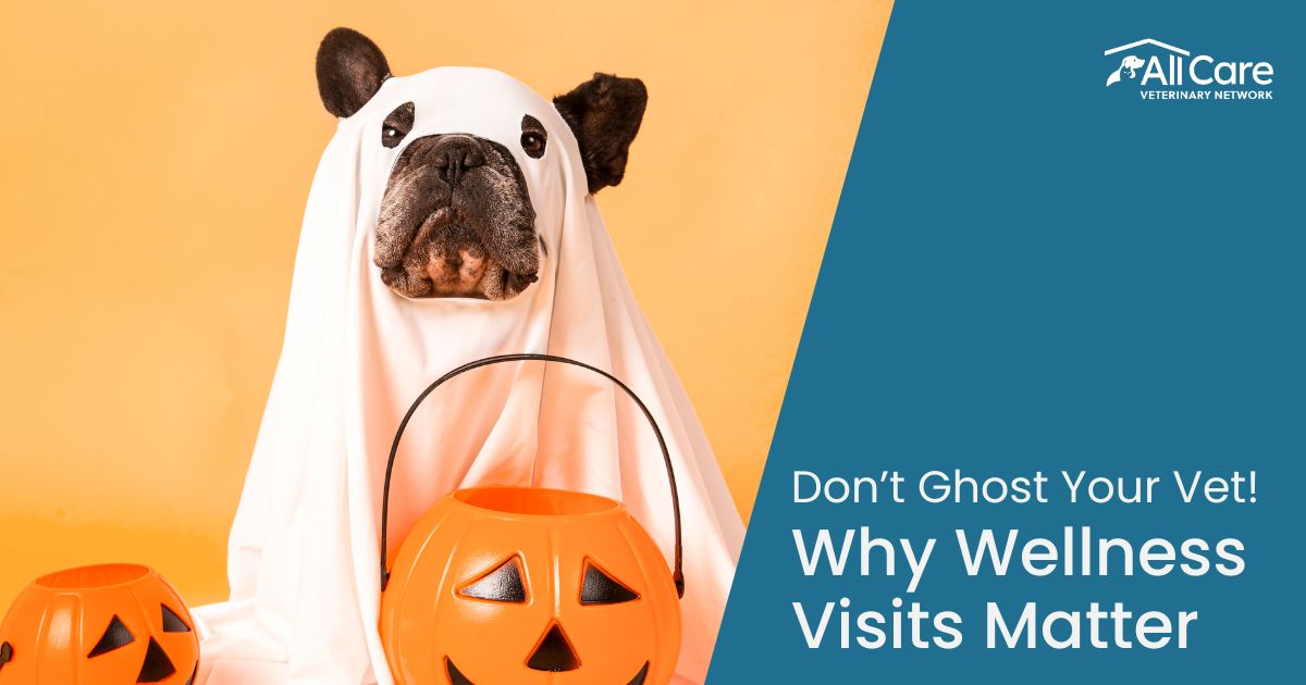 Keeping Pets Healthy