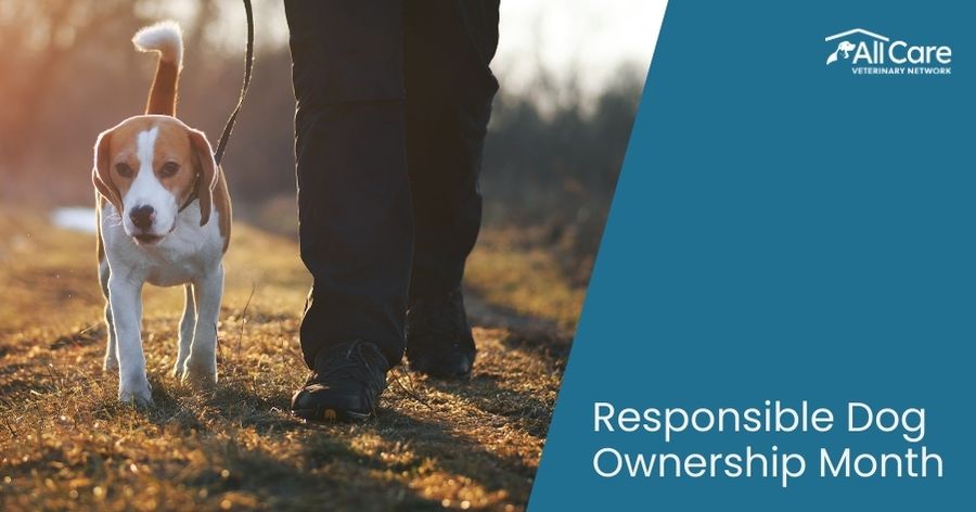 Responsible Dog Ownership Month