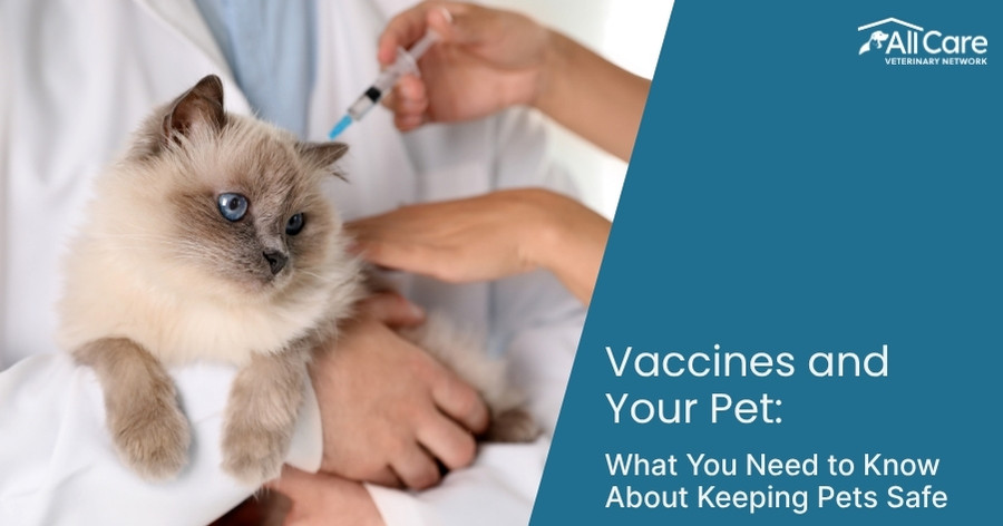 Vaccines & Your Pet: What You Need to Know Keeping Pets Safe