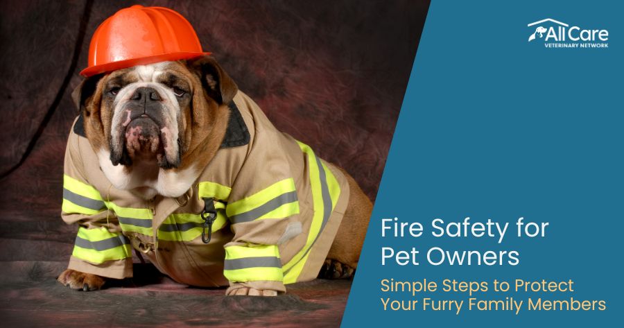 Fire Safety for Pet Owners