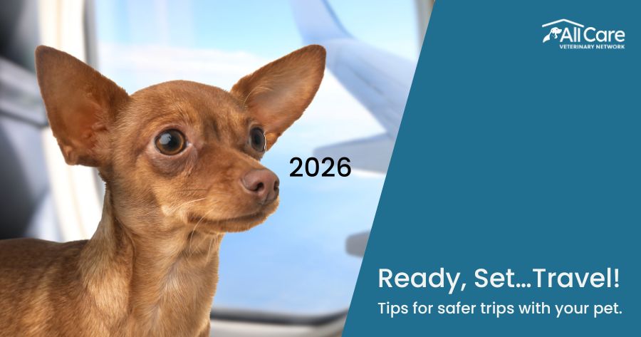 Ready, Set… Travel!