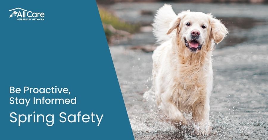 Spring Pet Safety Checklist