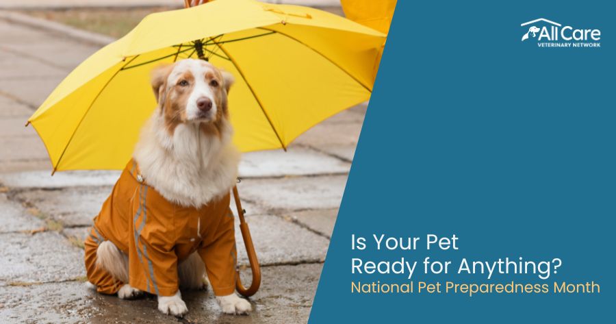 National Pet Preparedness Month