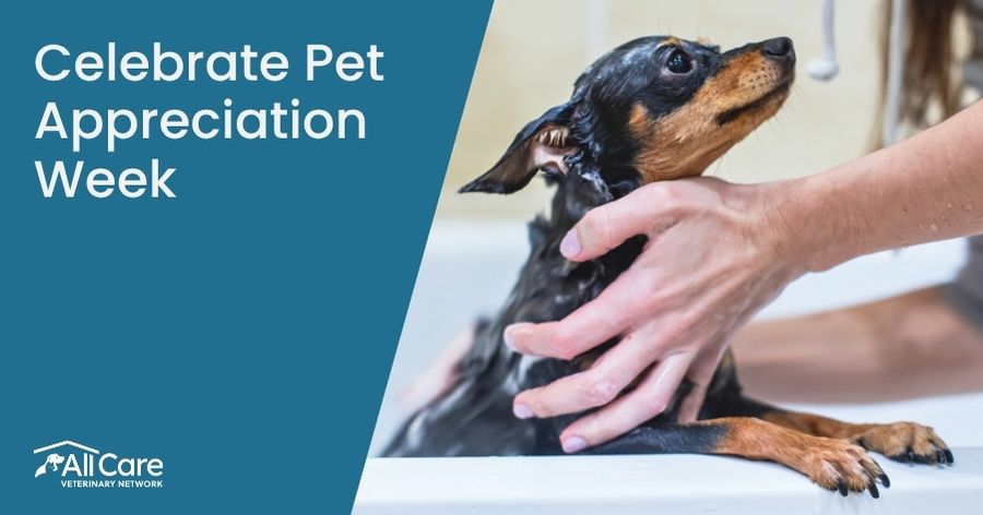Celebrate Pet Appreciation Week
