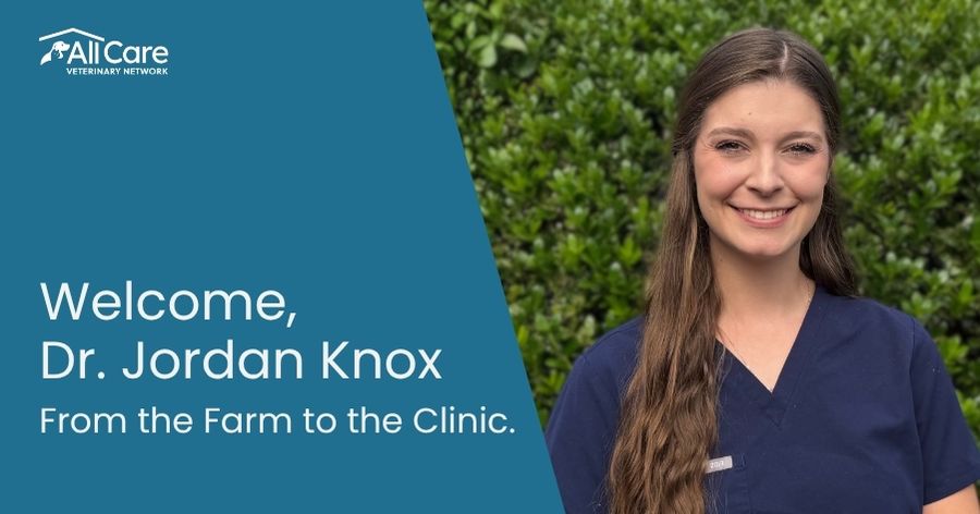 Welcome Dr. Jordan Knox to Conyers Animal Hospital!