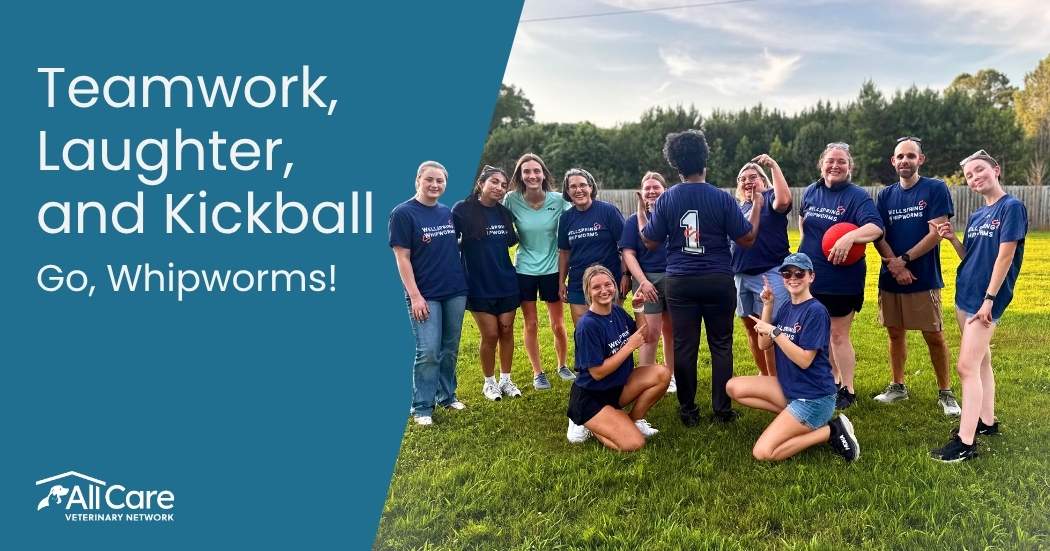 Inside Wellspring's Kickball Tournament