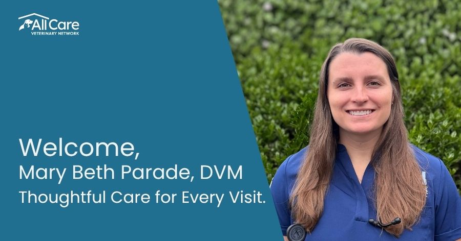 Welcome Dr. Mary Beth Parade to Conyers Animal Hospital
