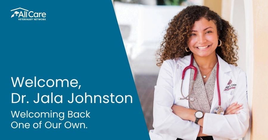 Welcome Dr. Jala Johnston to Wellspring Animal Hospital!
