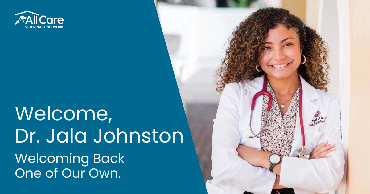 Jala Anand Dr. Jala Johnston | All Care Veterinary Network