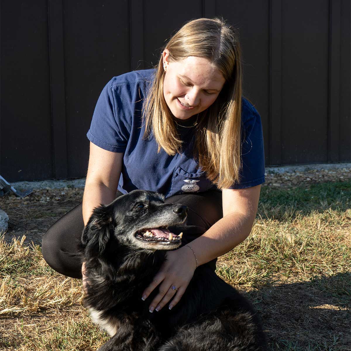 Wellspring Animal Hospital - Boarding